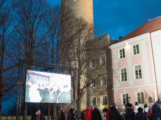 Eesti Vabariigi 99. aastapäeva tähistamine